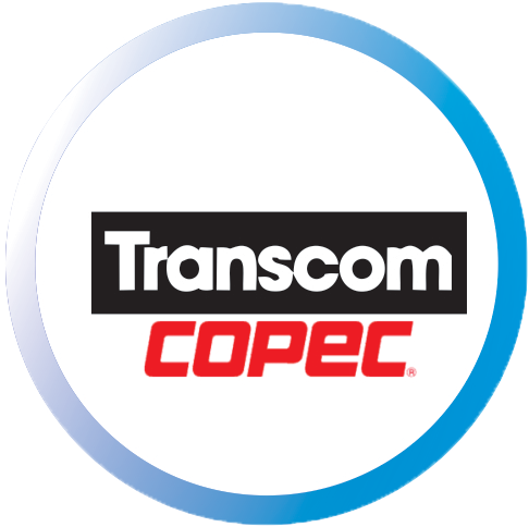 logo 8